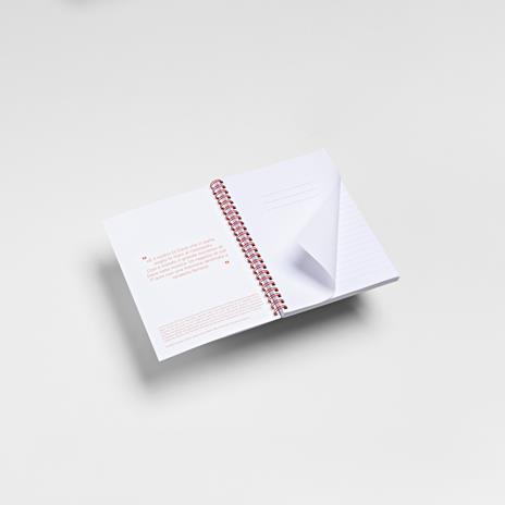Quaderno Spirale A5 Righe Dj Dave - 2