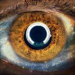 Aurora - CD Audio di i cani