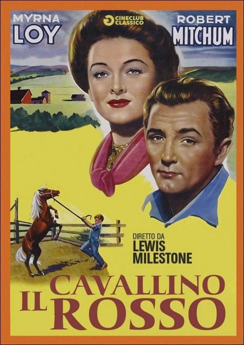 Il cavallino rosso di Lewis Milestone - DVD