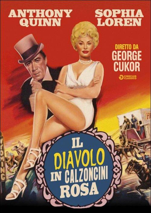 Il diavolo in calzoncini rosa di George Cukor - DVD