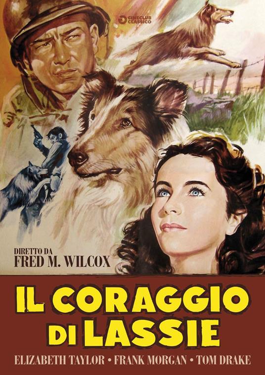 Il coraggio di Lassie (DVD) di Fred McLeod Wilcox - DVD