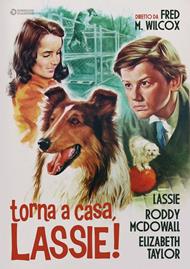 Torna a casa, Lassie! (DVD)