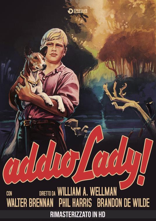 Addio Lady! Rimasterizzato in HD (DVD) di William A. Wellman - DVD