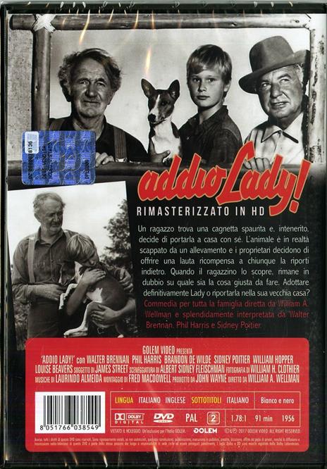 Addio Lady! Rimasterizzato in HD (DVD) di William A. Wellman - DVD - 2