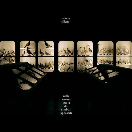 Nella Natura Vuota Dei Simboli Appassiti - CD Audio di Carlotta Sillano