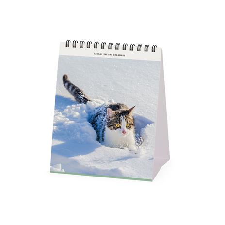Calendario 2024, da tavolo, 12 x 14, 5 cm CATS - 3