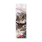 Calendario segnalibri 2024 - 5.5 x 18 cm KITTENS