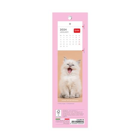 Calendario segnalibri 2024 - 5.5 x 18 cm KITTENS - 3