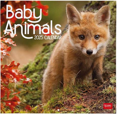 Calendario da Muro 2025 Legami - Baby Animals - 30 x 29