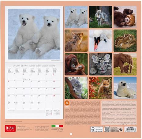 Calendario da Muro 2025 Legami - Baby Animals - 30 x 29 - 3