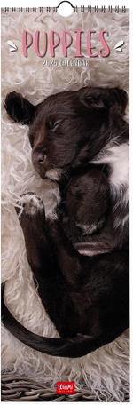 Calendario da Muro 2025 Legami - Puppies - 16 x 49