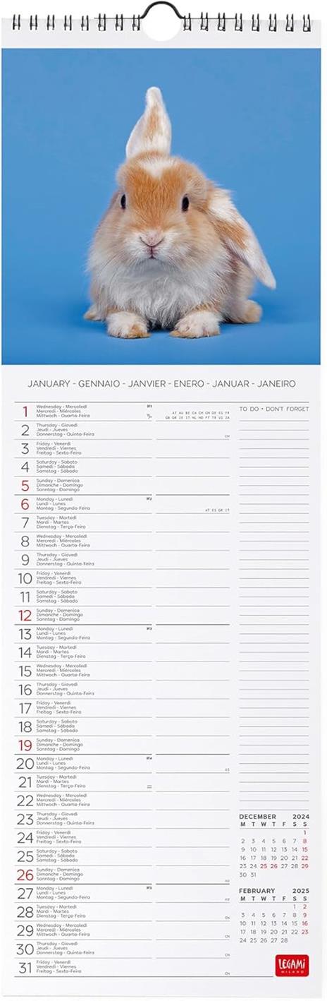 Calendario da Muro 2025 Legami - Honey Bunny - 16 x 49 - 2