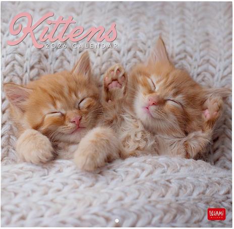 Calendario 2026 da Parete  - Kittens - 30 x 29 cm