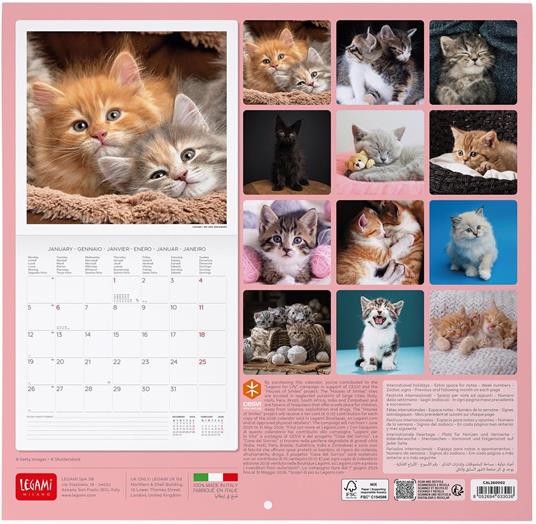 Calendario 2026 da Parete  - Kittens - 30 x 29 cm - 3
