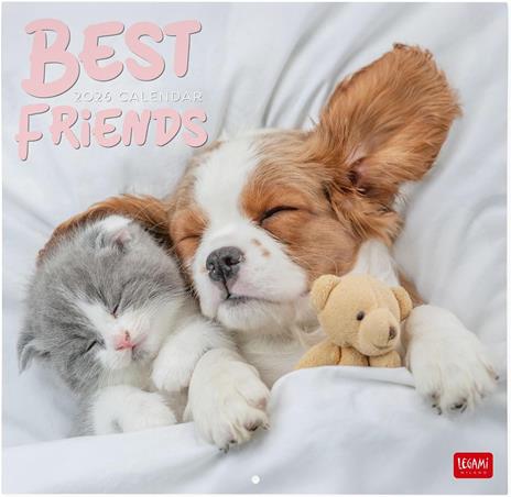 Calendario 2026 da Parete  - Best Friends - 30 x 29 cm