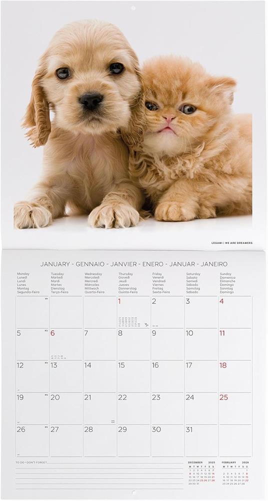 Calendario 2026 da Parete  - Best Friends - 30 x 29 cm - 2