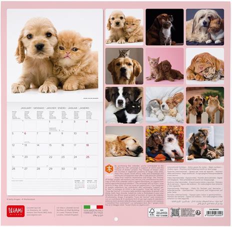 Calendario 2026 da Parete  - Best Friends - 30 x 29 cm - 3