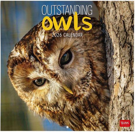 Calendario 2026 da Parete  - Outstanding Owls - 30 x 29 cm