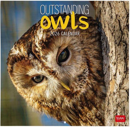 Calendario 2026 da Parete  - Outstanding Owls - 30 x 29 cm