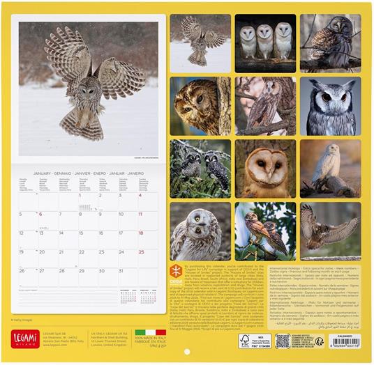 Calendario 2026 da Parete  - Outstanding Owls - 30 x 29 cm - 3