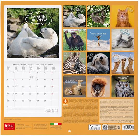 Calendario 2026 da Parete  - Take It Easy - 30 x 29 cm - 3