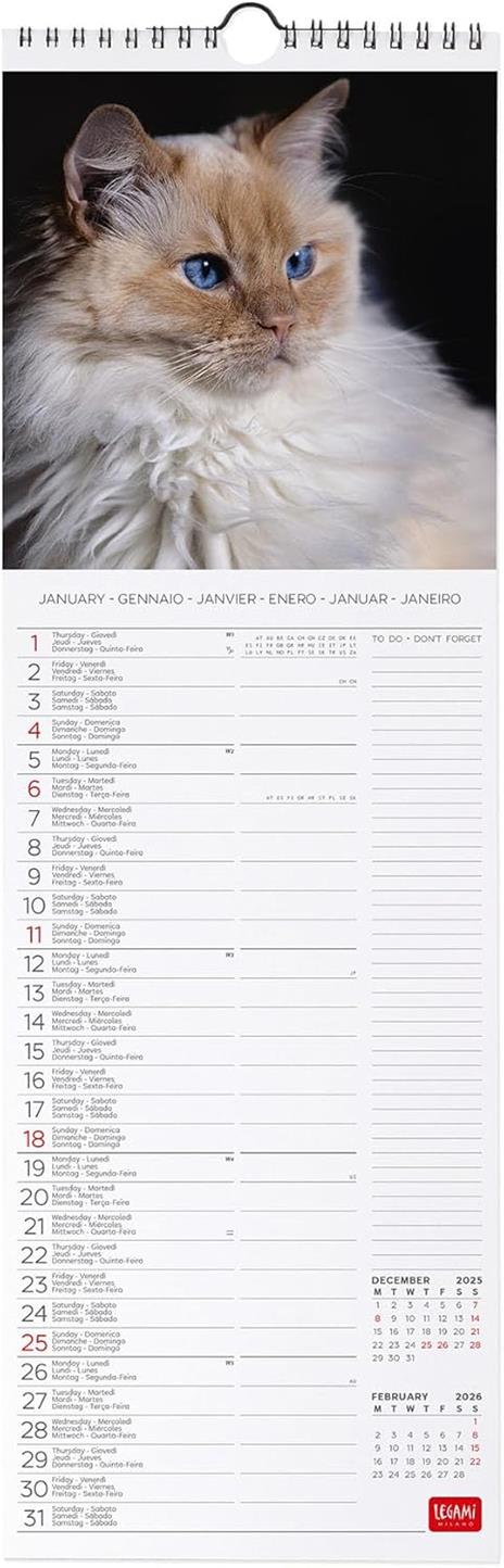 Calendario 2026 da Parete  - Cats - 16 x 49 cm - 2