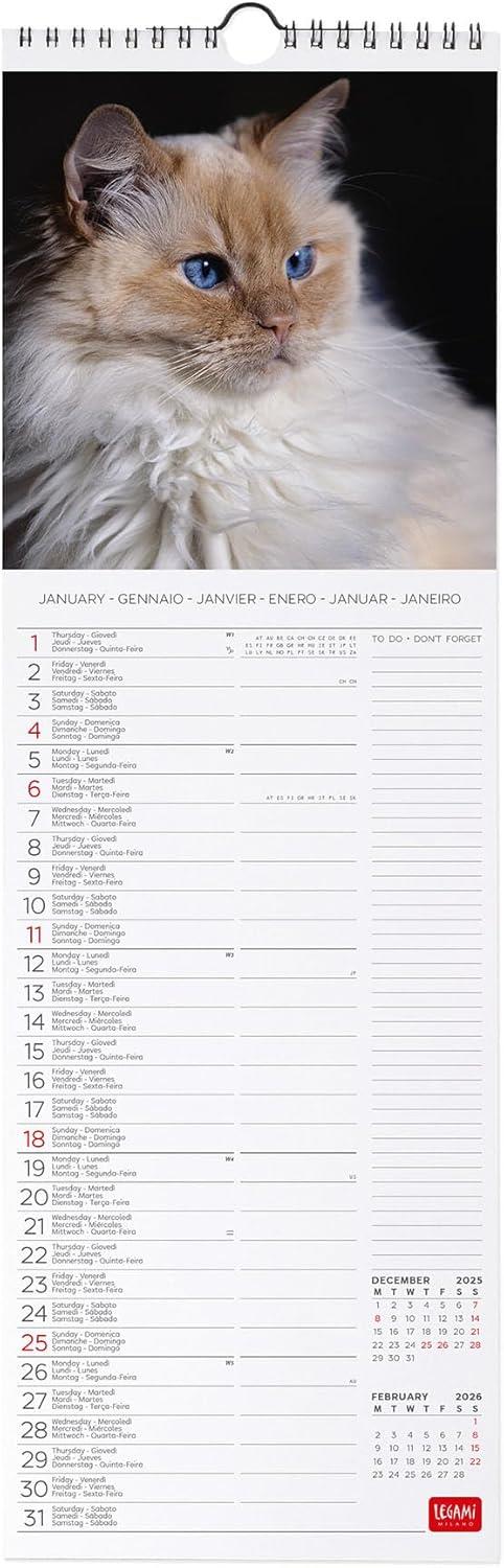 Calendario 2026 da Parete  - Cats - 16 x 49 cm - 2