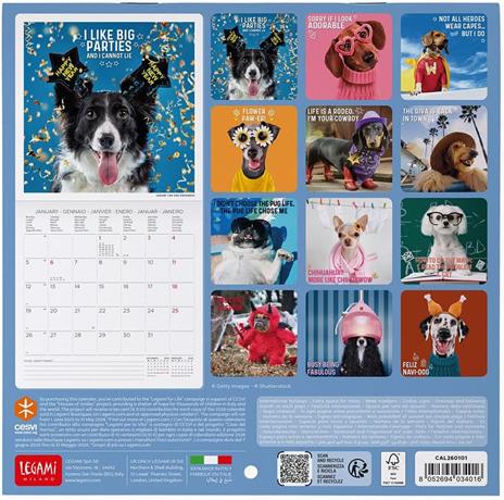 Calendario 2026 da Parete  - Supawstar - 18 x 18 cm - 3