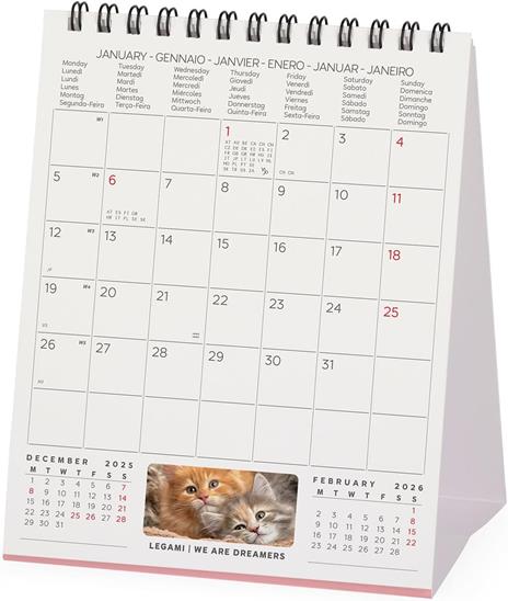 Calendario 2026 da Tavolo  - Kittens - 12 x 14,5 cm - 3