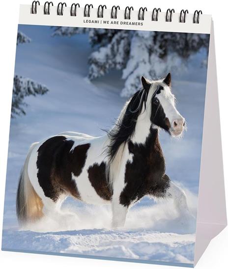 Calendario 2026 da Tavolo  - Wild Horses - 12 x 14,5 cm - 2