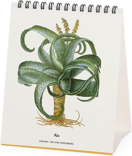 Calendario 2026 da Tavolo  - Herbarium - 12 x 14,5 cm - 2