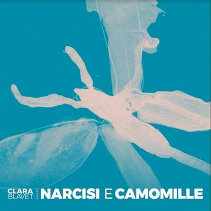 Narcisi e Camomille - CD Audio di Clara Blavet