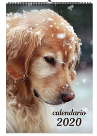 Byblos CANI DOGS Calendario da parete 2019 CAL19-CANI BYBLOS 