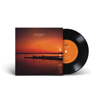 La mia terra (45 Giri) - Vinile 7'' di Diodato