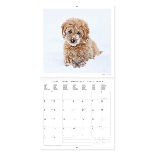 Calendario Legami 2023, Puppies - 30 x 29 cm - 2
