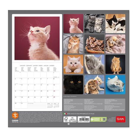 Calendario Legami 2023, Kittens - 30 x 29 cm - 2