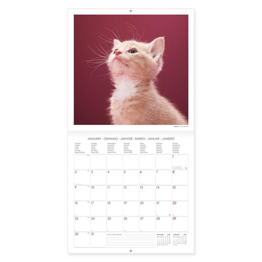 Calendario Legami 2023, Kittens - 30 x 29 cm - 3