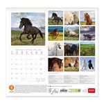 Calendario Legami 2023, Horses - 30 x 29 cm