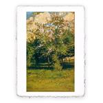 Stampa di Childe Hassam - Alberi in fiore - 1882 - Folio - cm 20x30