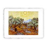 Stampa di Vincent van Gogh - Ulivi con cielo giallo e sole, Magnifica -  cm 50x70