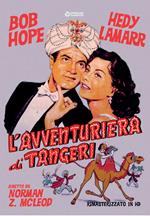 L' Avventuriera di Tangeri. Rimasterizzato in HD (DVD)