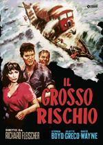 Il grosso rischio  (DVD)