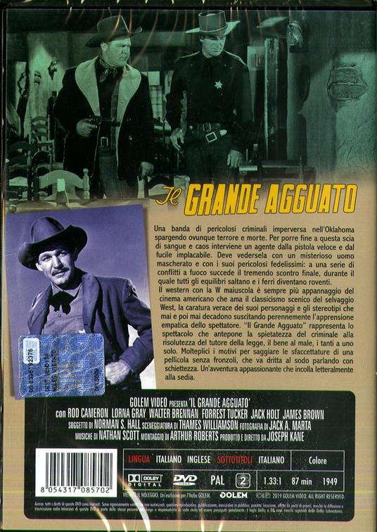 Il grande agguato (DVD) di Joseph Kane - DVD - 2