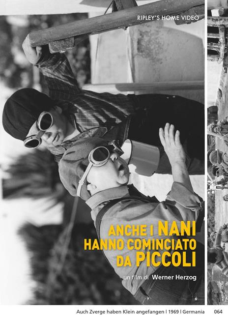 Anche i nani hanno cominciato da piccoli (DVD) di Werner Herzog - DVD