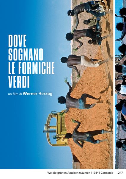 Dove Sognano Le Formiche Verdi (DVD) di Werner Herzog - DVD