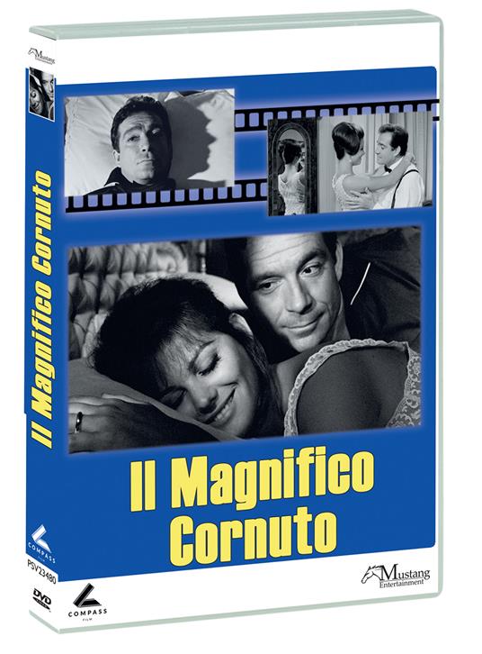 Il magnifico cornuto (DVD) di Antonio Pietrangeli -  DVD 