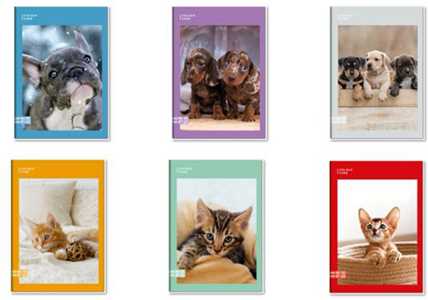 Cartoleria Quaderno A4 Maxi 96/100 Colour Code Animal Snapshot, 1 Rigo - 21 x 30 cm Colour Code
