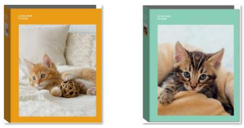 Copertina ad anelli A4 Maxi D30 Colour Code Animal Snapshot - 26 x 32 cm