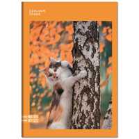 Cartoleria Quaderno a righe 1 rigo, copertina con foto animali. Colour Code - formato A5 14,5 x 20,5 x cm Colour Code