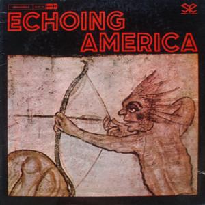 Echoing America (Clear Vinyl) - Vinile LP di Giovanni Tommaso,Stefano Torossi